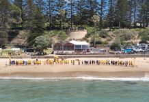 Surf Clubs stay united for Bondi