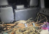 Pair arrested over alleged attempted copper theft