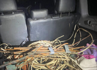 Pair arrested over alleged attempted copper theft