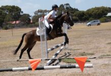 Gymkhana entries open