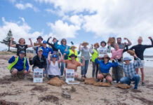 Mussel reefs restored off Encounter Bay