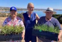 More Bluff planting in 2026