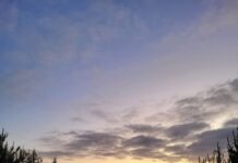 New Year’s Eve 2025 wrap up from SA Police