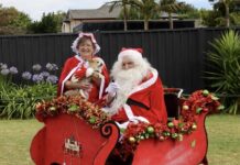 Bringing joy at Christmas