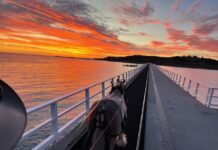 Sunrise tram beats heat