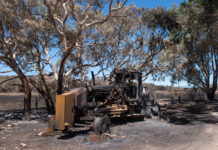 Alexandrina updates on Nangkita