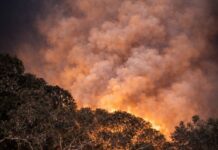 Major fire burns at Tooperang, Nangkita