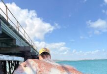 Catch something for the holidays