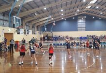 Senior basketball results