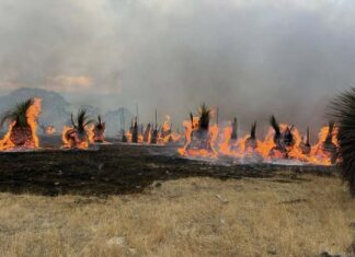 Fire breaks out at Deep Creek Conservation Park