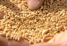 Farmers low interest