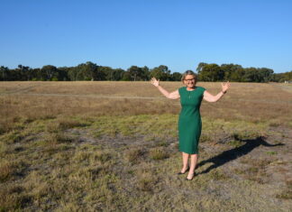 Essential service connections to Sport and Rec Precinct funded