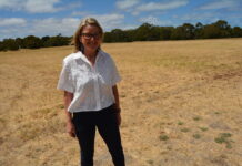 Model chosen for precinct