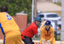 Bloodthirsty Bays take the top spot