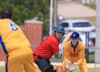 Bloodthirsty Bays take the top spot