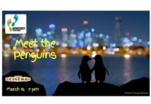 Penguins on the big screen