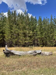 Analysis: Taking a long view: Verified coverage by BRRO News Editorial Desk.