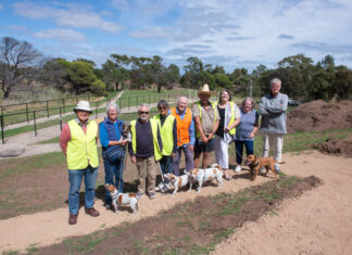 Dog park nears completion