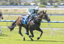 Jamie gets Mathematics correct.