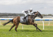 Victor Harbor Motor Company Plate