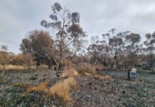 Grants to aid recovery