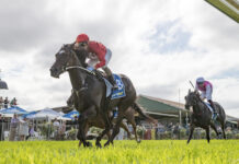 Sellicks Hill trainer wins