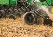 Low diesel seeds worry