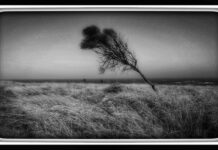 Art of Photography
