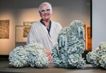 Artist’s win inspired by Fleurieu