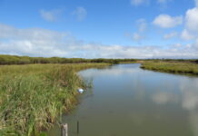 Community steps into science at Blue Carbon Training Day