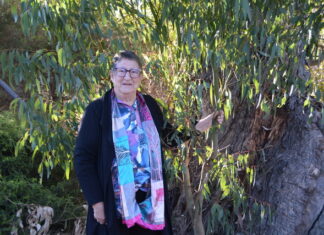 Leadership on renewables