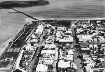 History Month at the Library