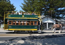 Horse Tram struck down again