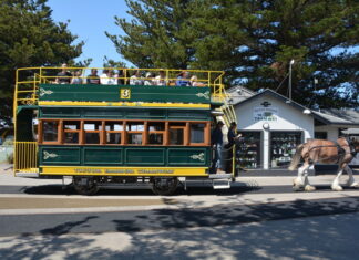Horse Tram struck down again