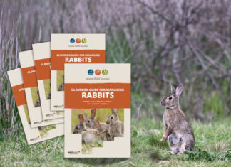 Feral rabbit resources boost