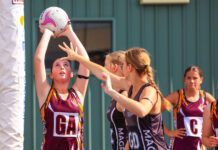 Netball Action