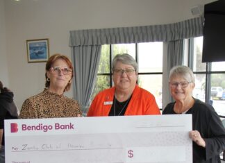 Breast care cushion funding