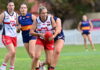 Roos jump over Sheagles
