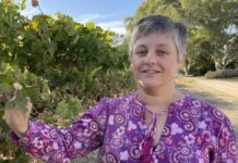 Fleurieu wineries among the best