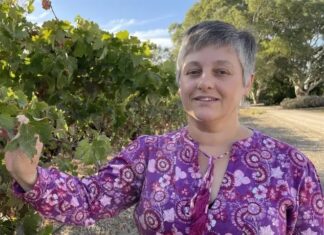 Fleurieu wineries among the best