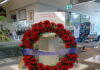 Handcrafted Poppies