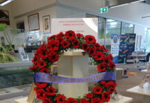 Handcrafted Poppies
