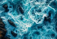 Poets Corner – Midnight Surf